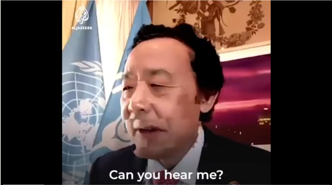 Image: Zoom call UN "Can you hear me"