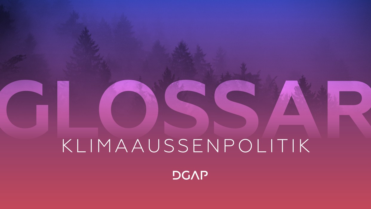 Klimaaußenpolitik | DGAP