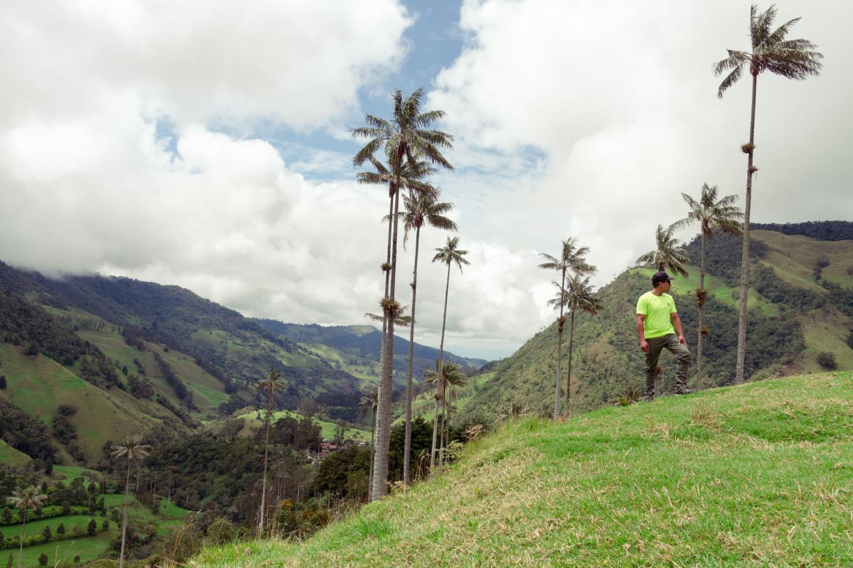 Man standing at the hillside in Quindío, Colombia.