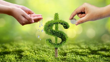 Green bonds