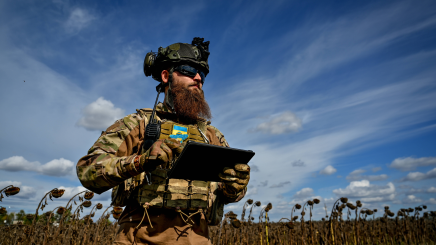 A soldier of a military mortar crew checks the direction on the tablet as he stands on the border of a dry sunflower field