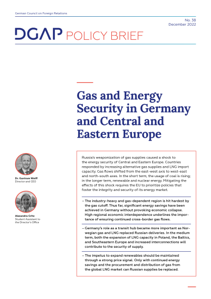 Screenshot of cover page of PDF version of DGAP Policy Brief No. 38